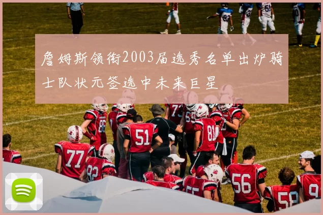 詹姆斯领衔2003届选秀名单出炉骑士队状元签选中未来巨星