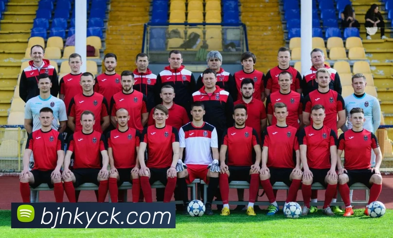 米兰app体育登录入口·(中国)官方网站APP 封面图